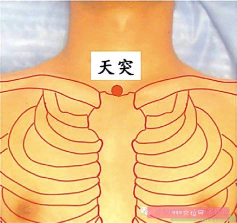天醫 胸部位置
